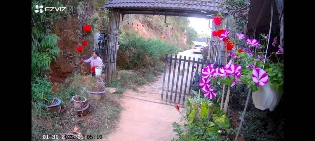 Wolf'S Lair Hotel Da Lat Exterior photo